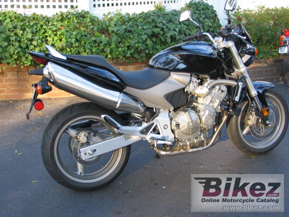 2006 Honda 599 photo